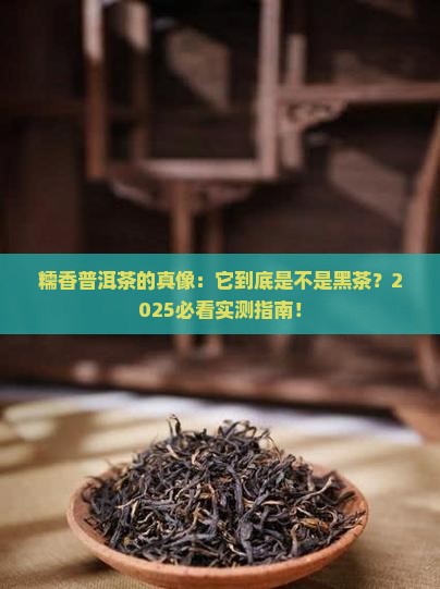 糯香普洱茶是黑茶么