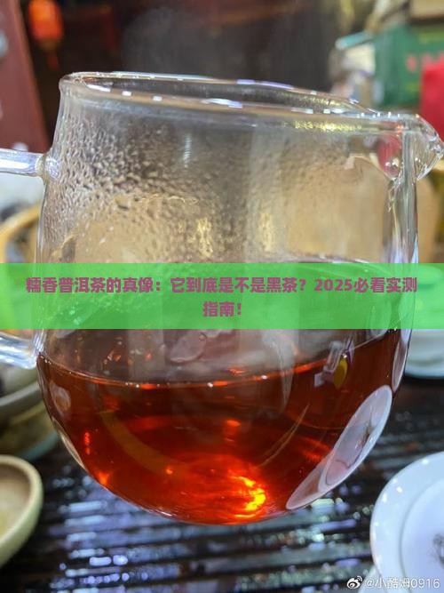 糯香普洱茶是黑茶么