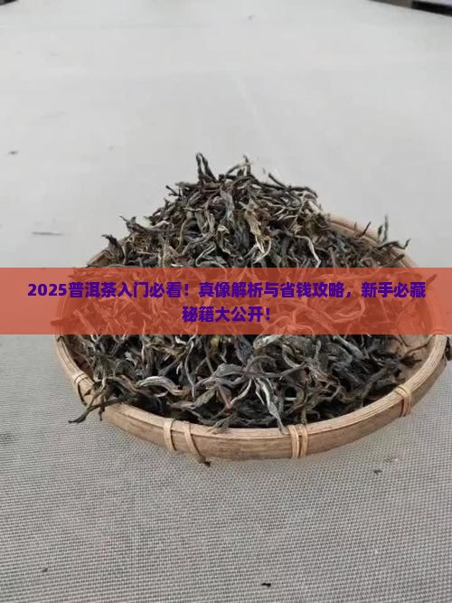 普洱茶入门茶道基本知识