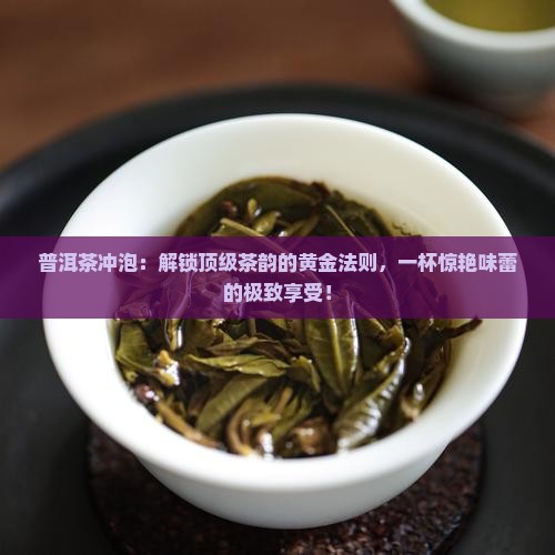 大师普洱茶冲泡