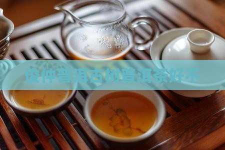 俊仲7153古树普洱茶好不
