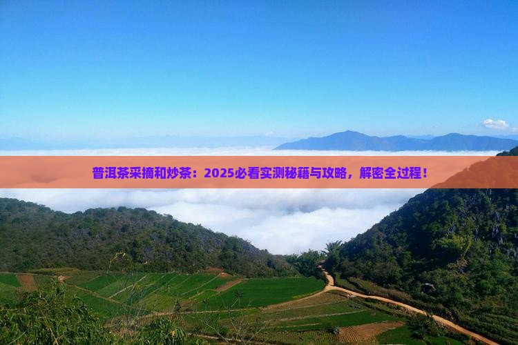 普洱茶采摘和炒茶