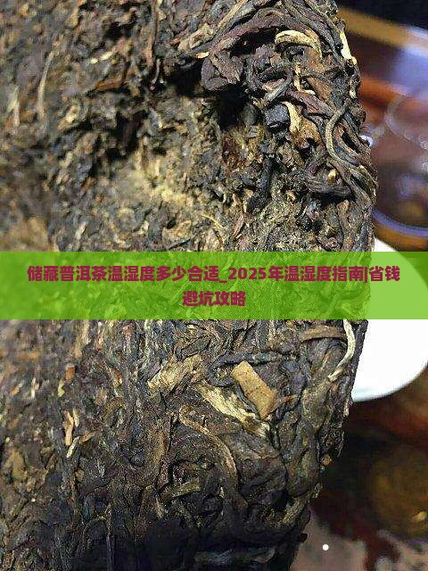 储藏普洱茶温湿度多少合适