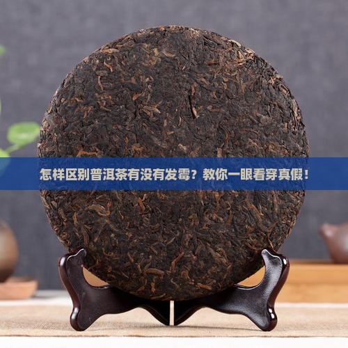 怎样区别普洱茶有没有发霉