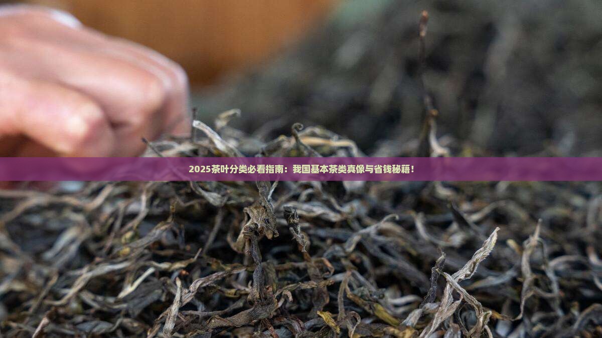 我国茶叶分类中基本茶类有哪些