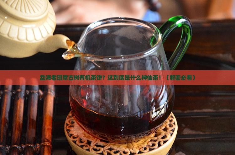 勐海老班章古树有机茶饼