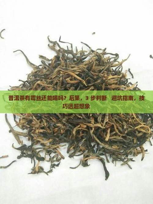 普洱茶有霉丝还能喝吗