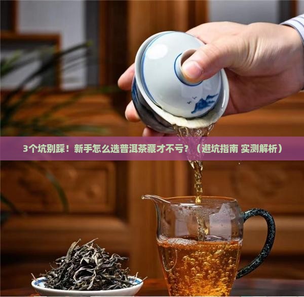 怎样的普洱茶可以购买藏