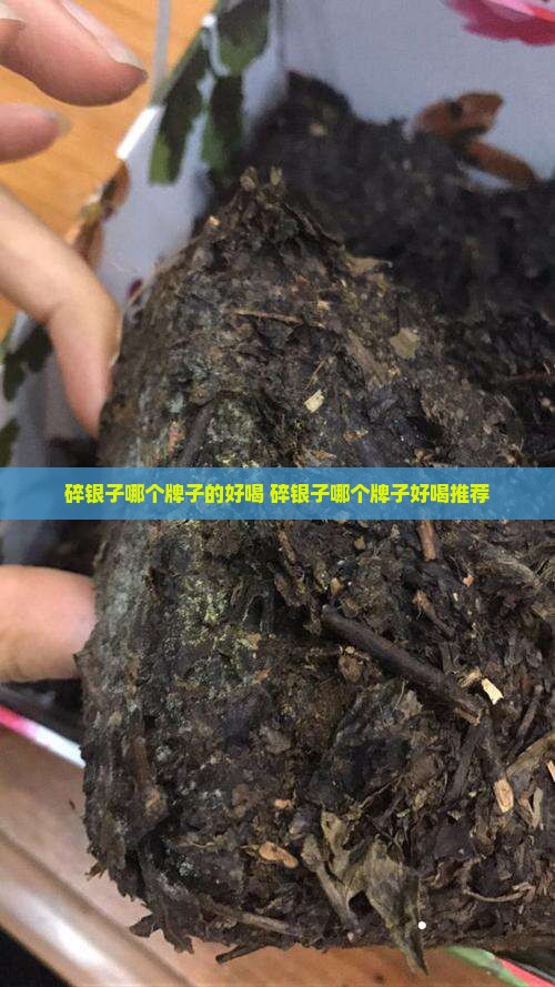 碎银子哪个牌子的好喝