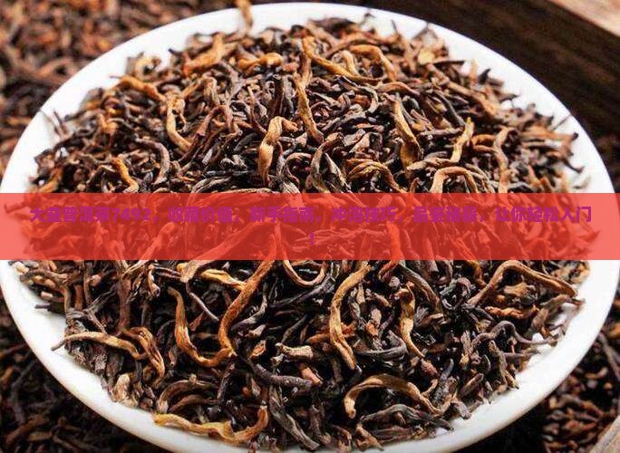 大益普洱茶7492
