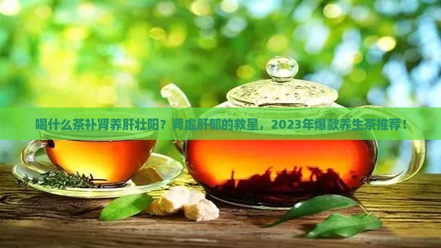 喝什么茶补肾养肝壮阳