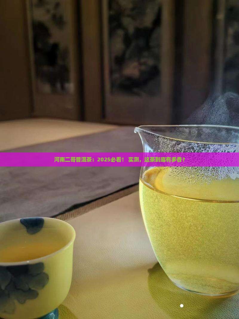 河南二哥普洱茶