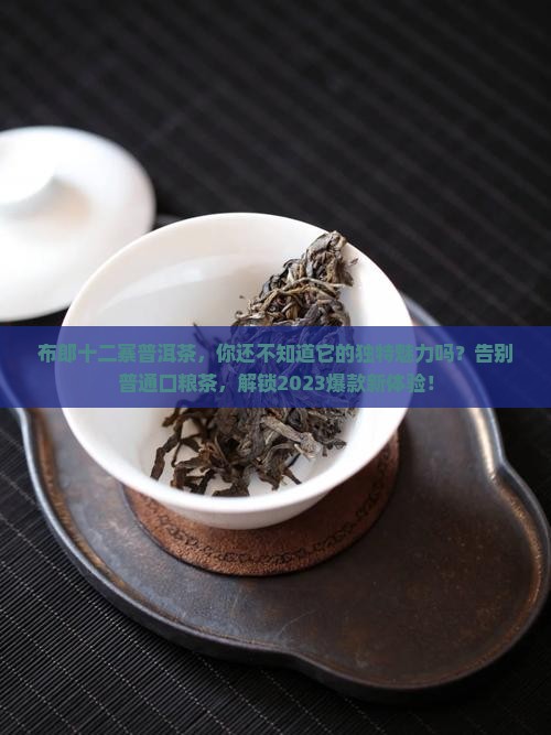 布郎十二寨普洱茶
