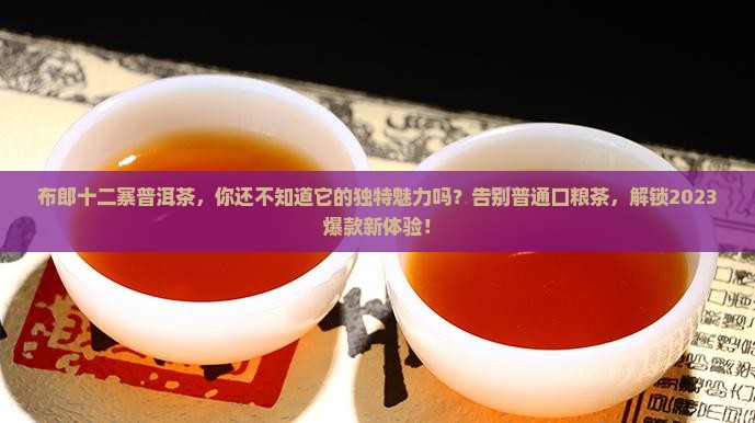 布郎十二寨普洱茶
