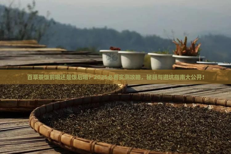 百草茶饭前喝还是饭后喝好