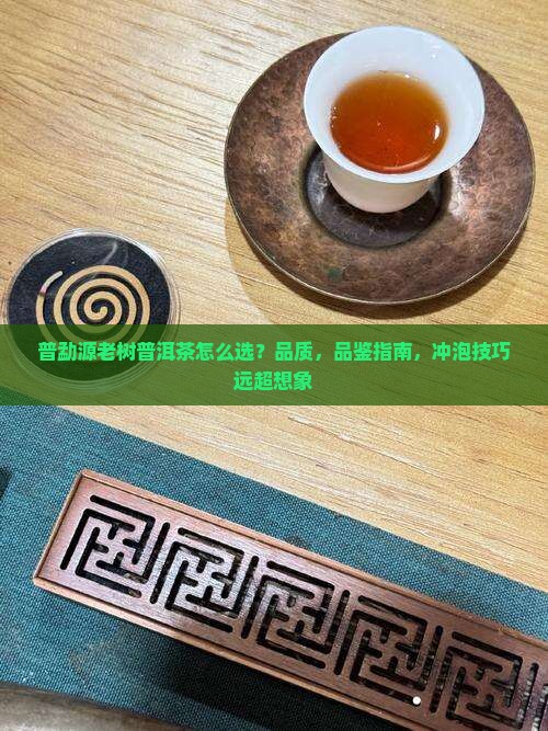 普勐源老树普洱茶