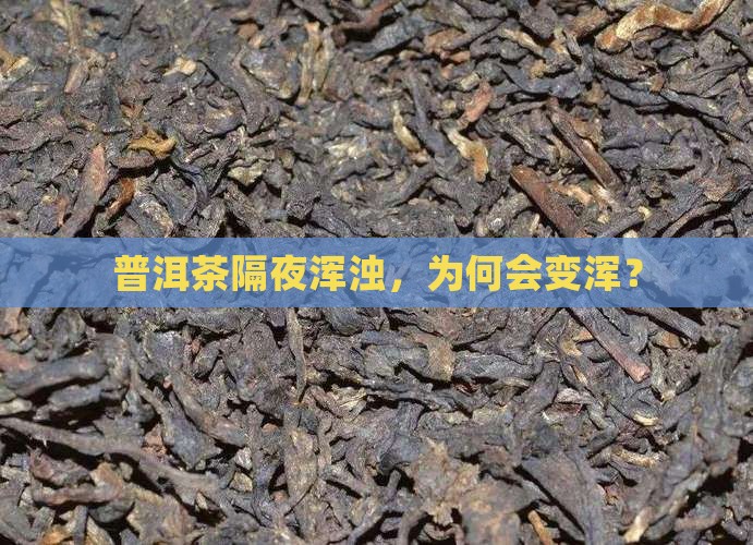 普洱茶过夜变浑了