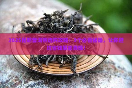 在昆明如何选购普洱茶