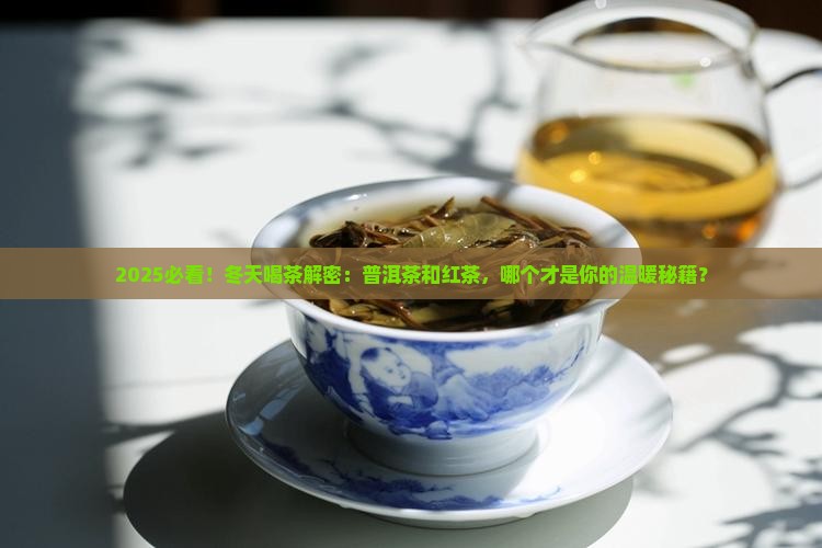 冬天适合喝普洱茶还是红茶