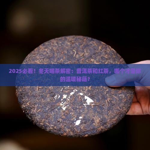 冬天适合喝普洱茶还是红茶
