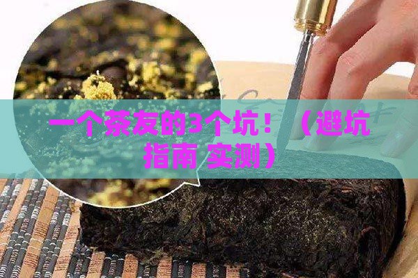 观沧海普洱茶三件