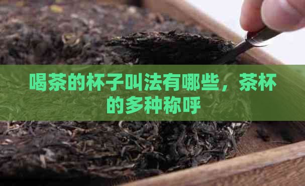 喝茶的杯子有几种叫法