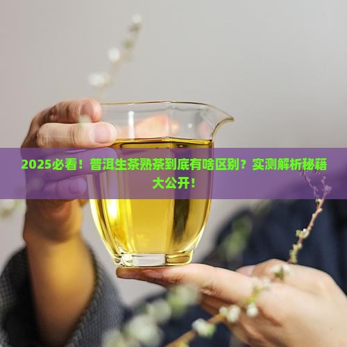 普洱茶生茶与熟茶区别在哪里查