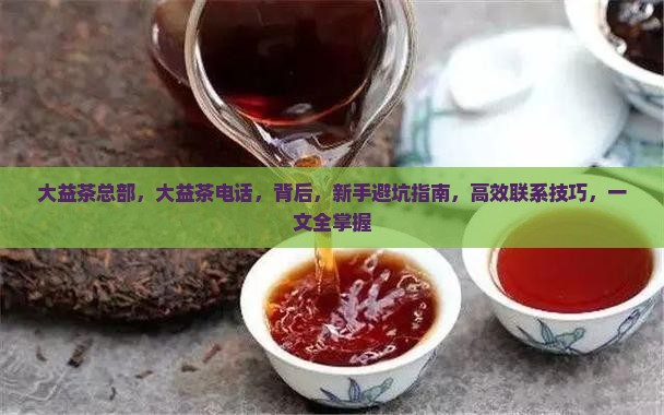 大益茶总部大益茶电话