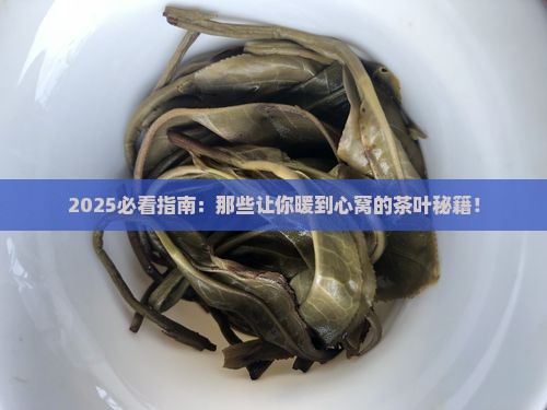 什么茶叶是暖性