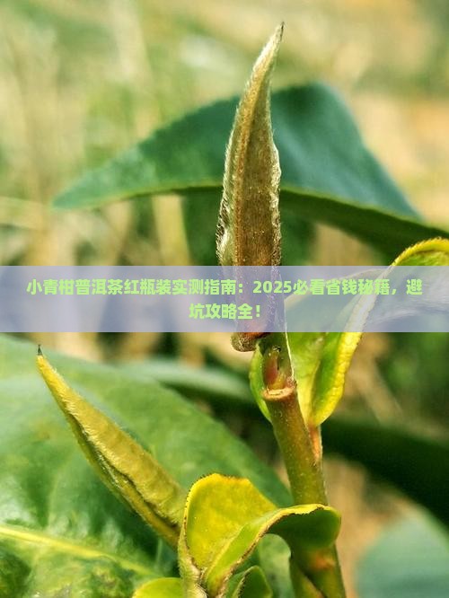小青柑普洱茶红瓶装