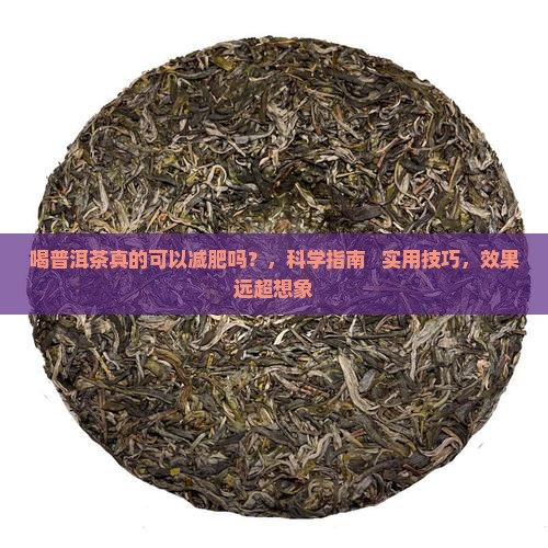 喝普洱茶真的可以减肥吗