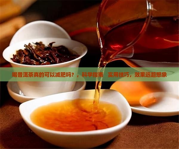 喝普洱茶真的可以减肥吗