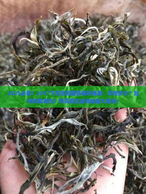 2017下关苍洱团茶