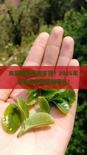 东莞普洱茶哪家好卖些呀