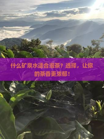 什么矿泉水适合泡茶