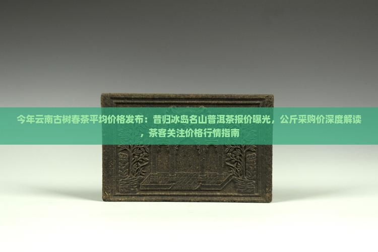 今年昔归古树茶春茶平均价格