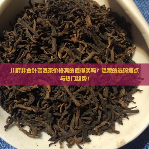 川府井金针普洱茶价格