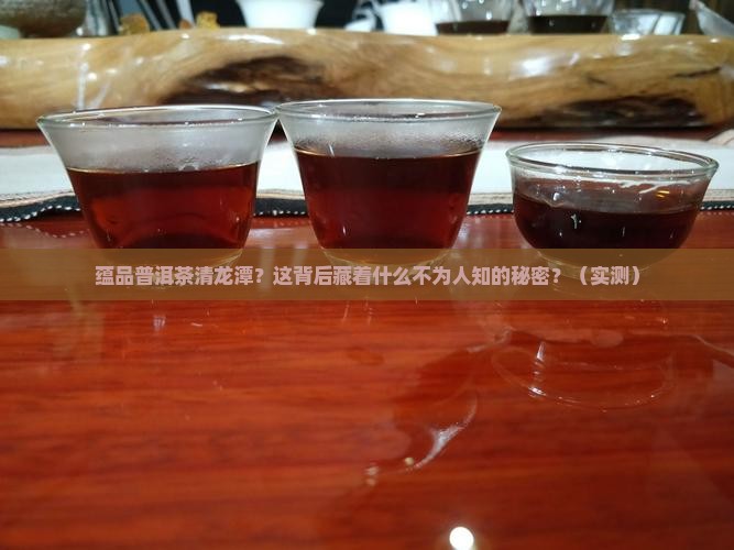 蕴品普洱茶清龙潭