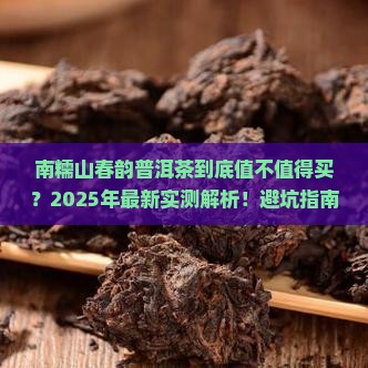 南糯山春韵普洱茶
