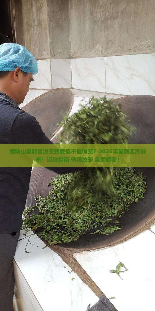 南糯山春韵普洱茶