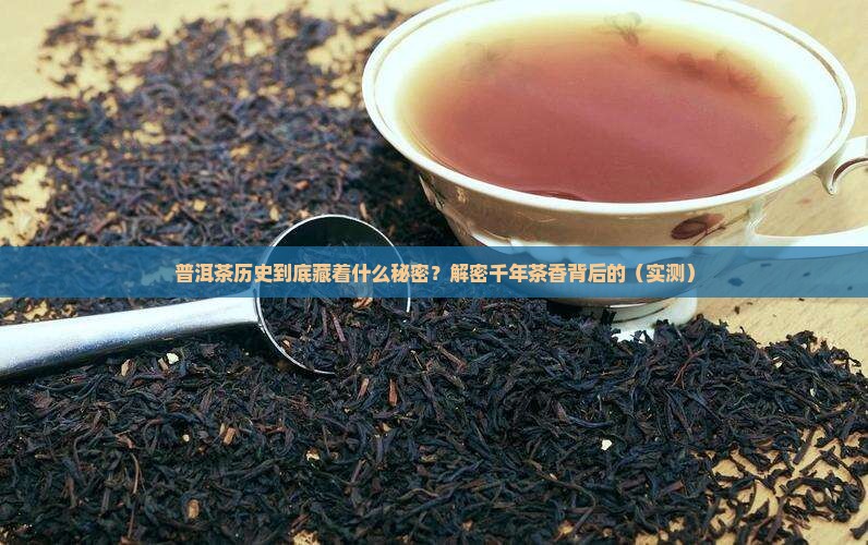 普洱茶历史资料