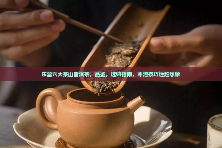 东营六大茶山普洱茶