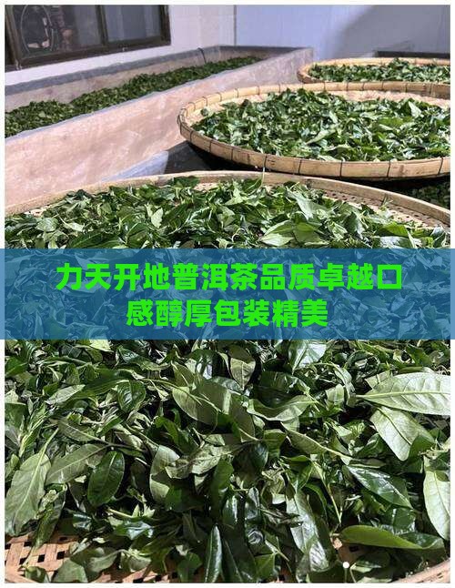 力天开地普洱茶