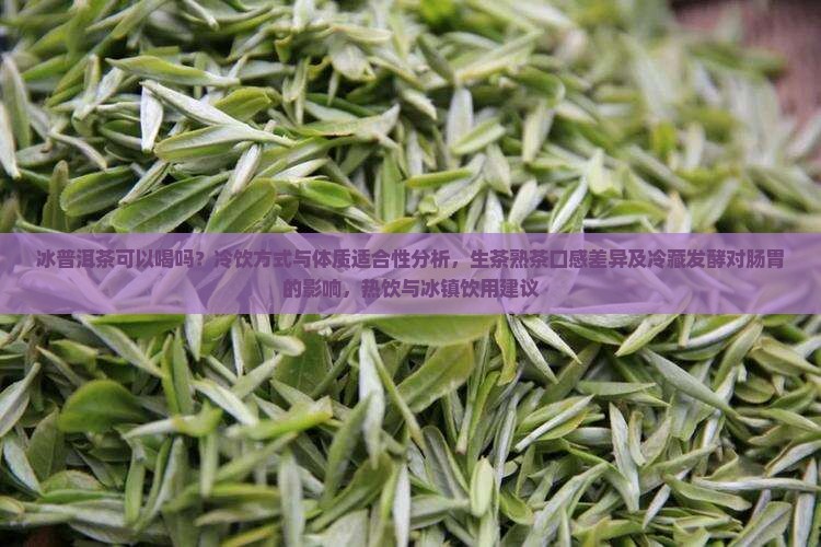 冰普洱茶可以喝吗