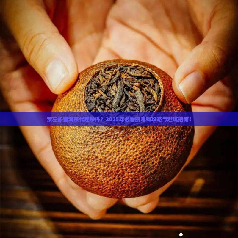 崇左熟普洱茶代理条件