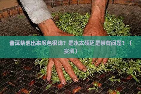 普洱茶泡出来颜色很浅