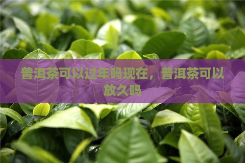 普洱茶可以过年吗