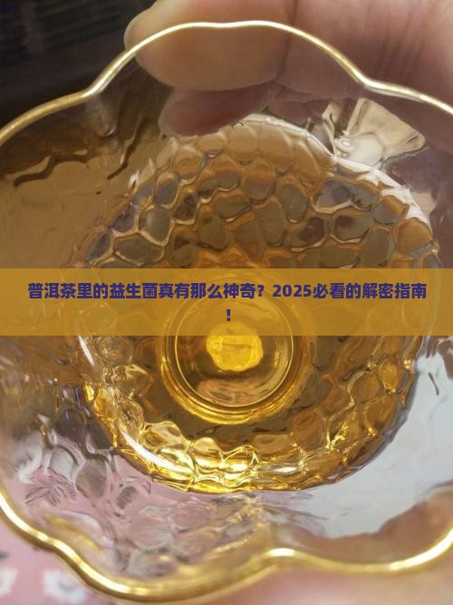 普洱茶中的益生菌
