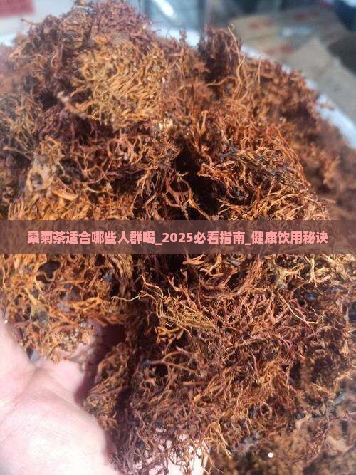 桑菊茶适合哪些人群喝