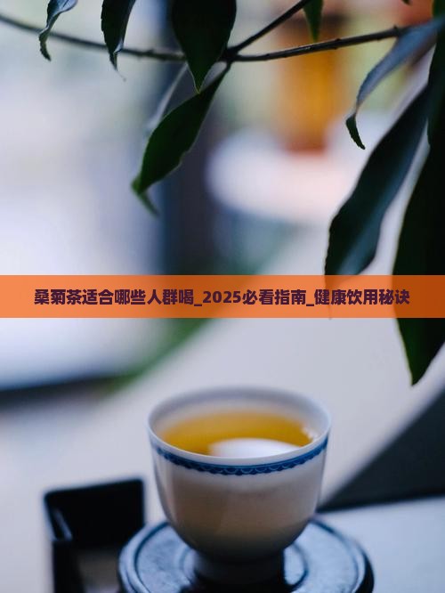 桑菊茶适合哪些人群喝